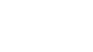 Instituto Vida Videira Logo